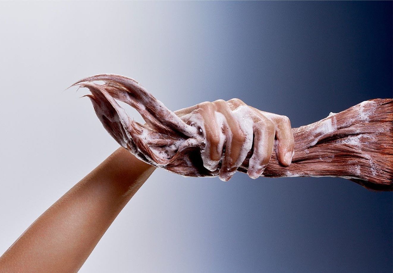 Hair Care Explained: Ingredients, Products & Results