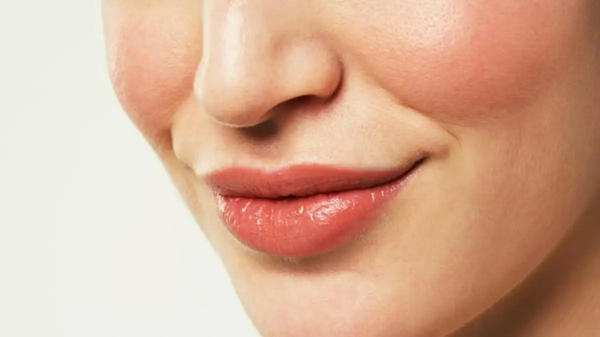 أفضل مورد شفايف في مصر في الوقت الحالي