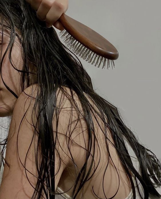 Best Denman Brushes in Egypt