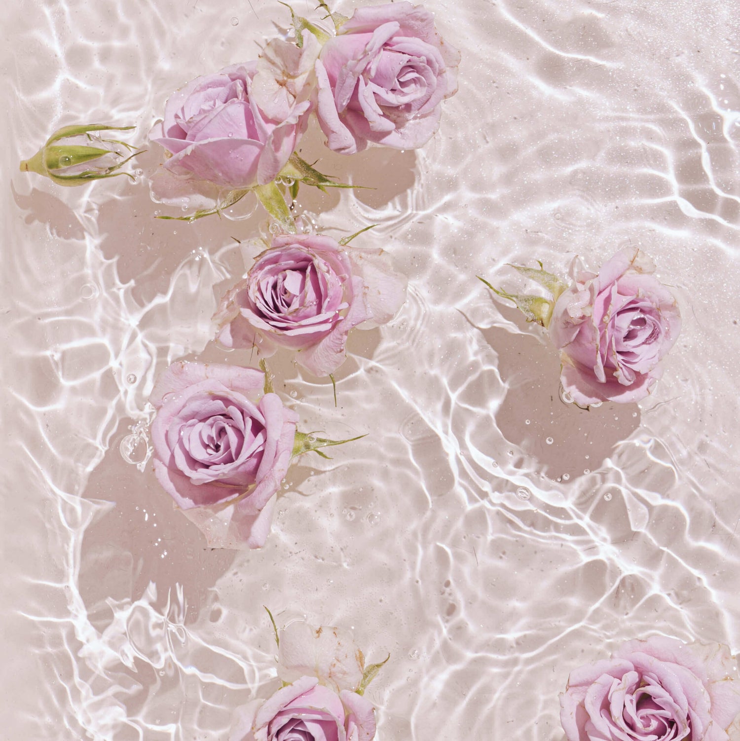 10 Benefits of Rose Water