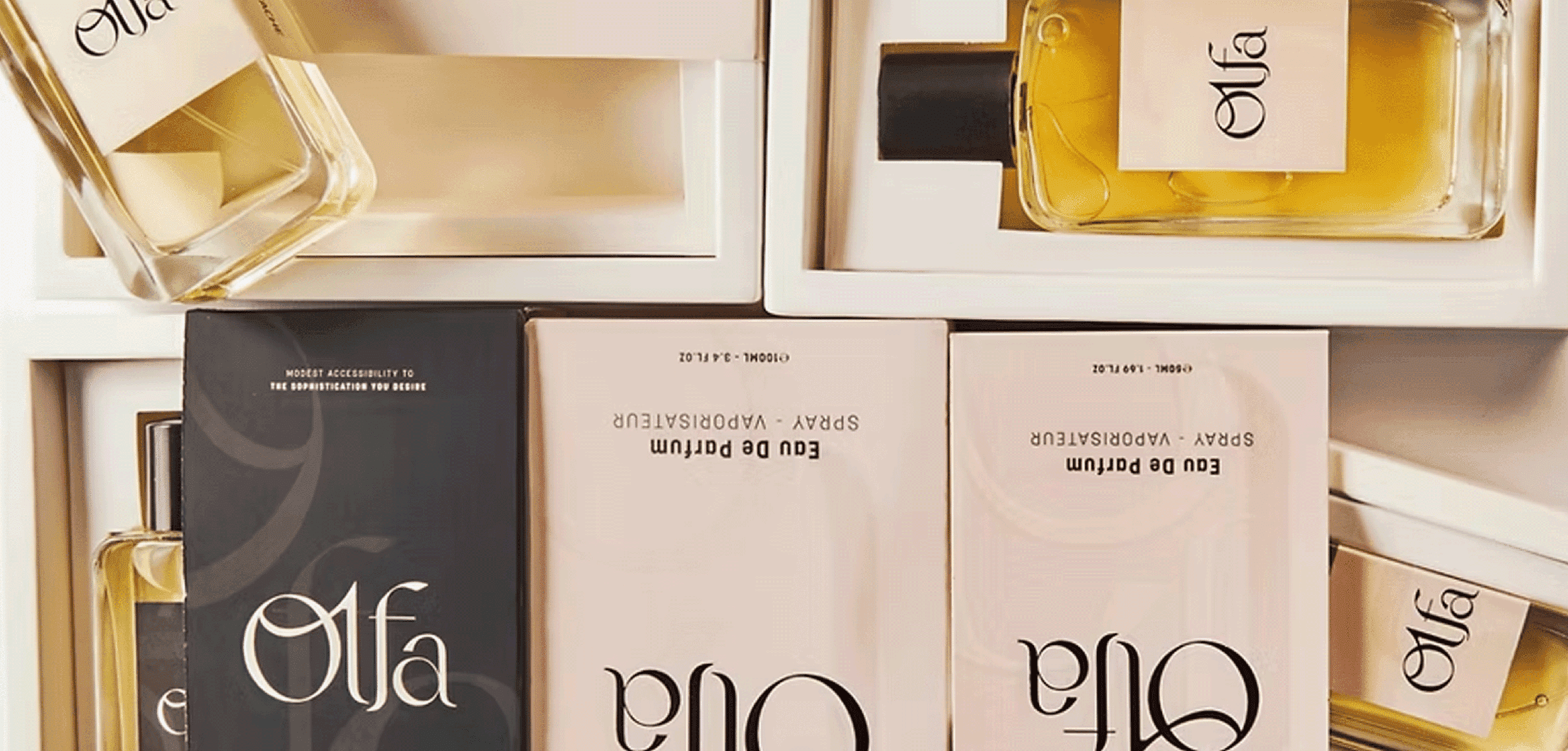 Men's Olfa Fragrance