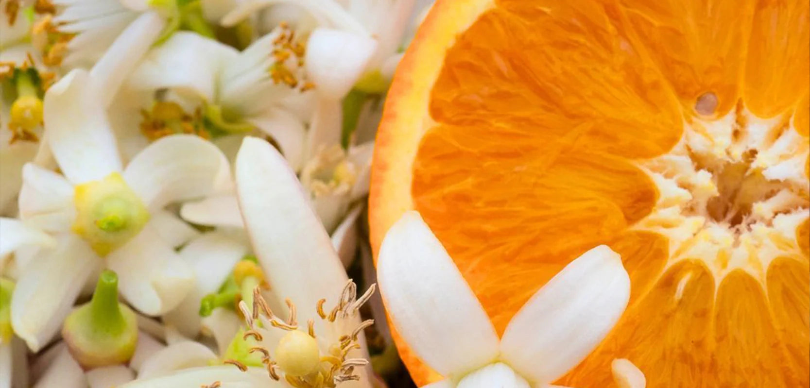 Citrus Scents