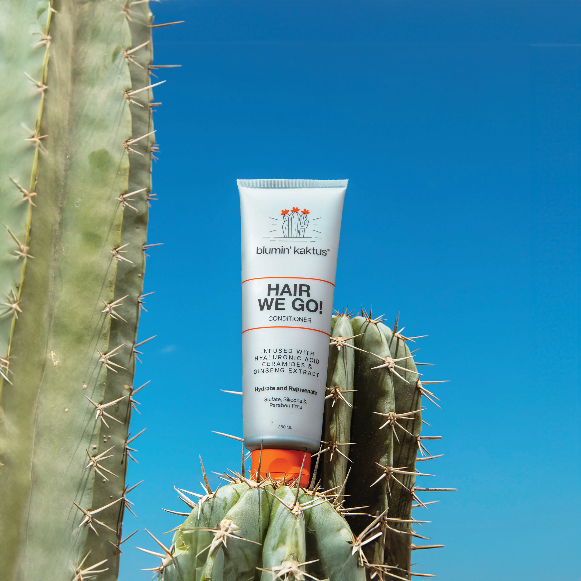 بلسم هير وي جو