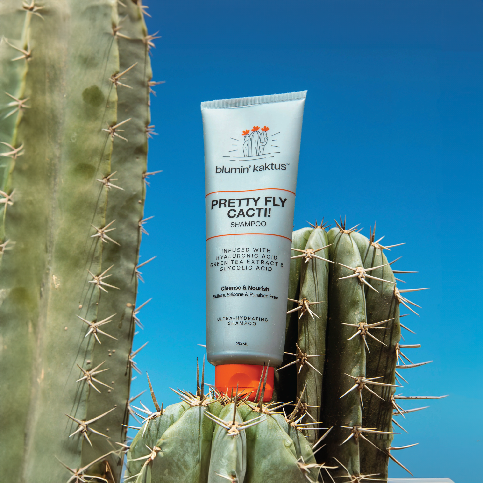 Pretty Fly Cacti! - Shampoo
