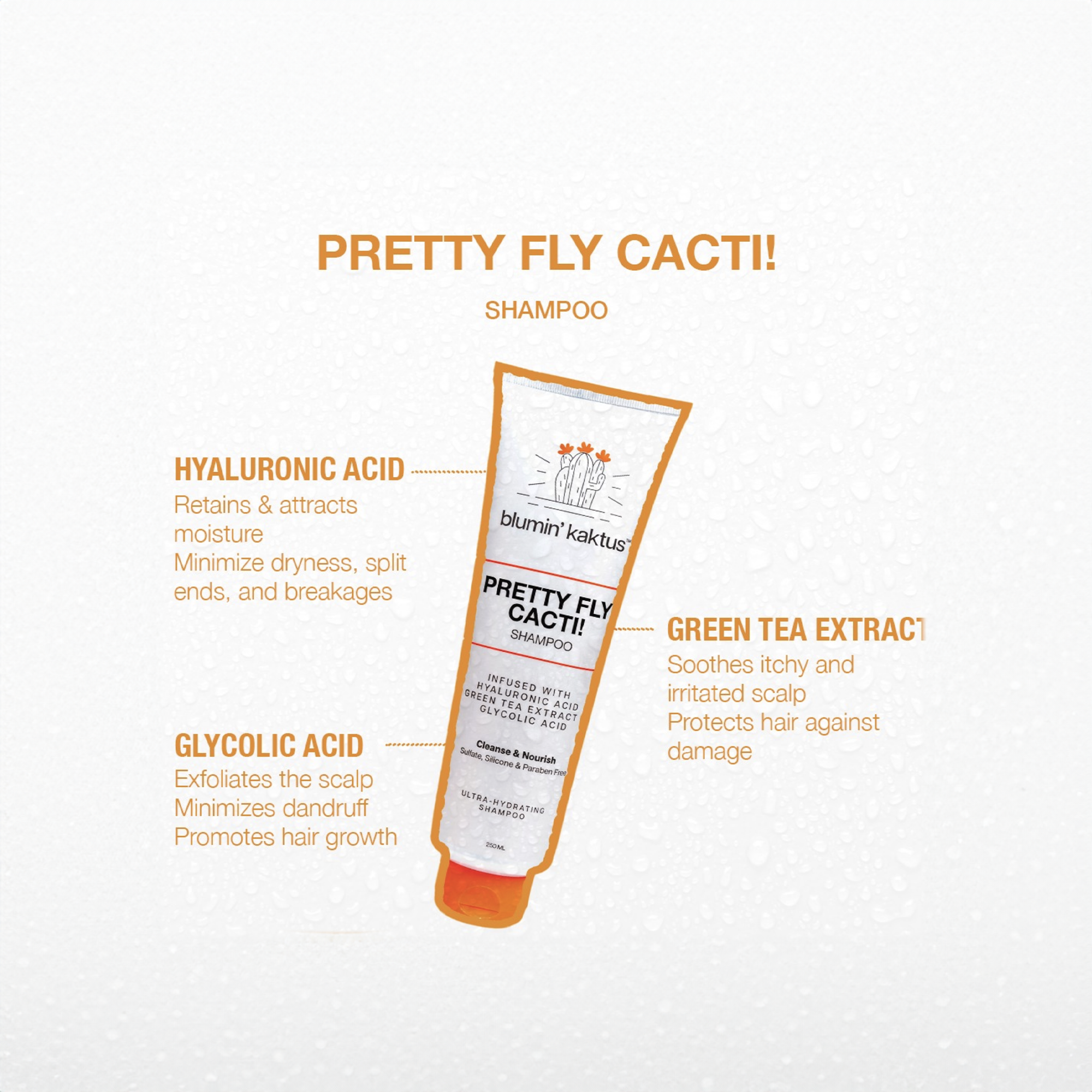 شامبو بريتى فلاي