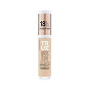 True Skin High Cover Concealer