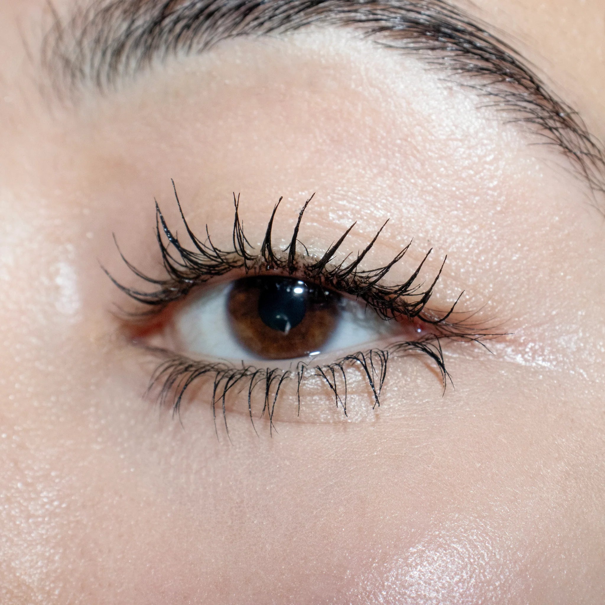 ماسكرا - ليلي لاش