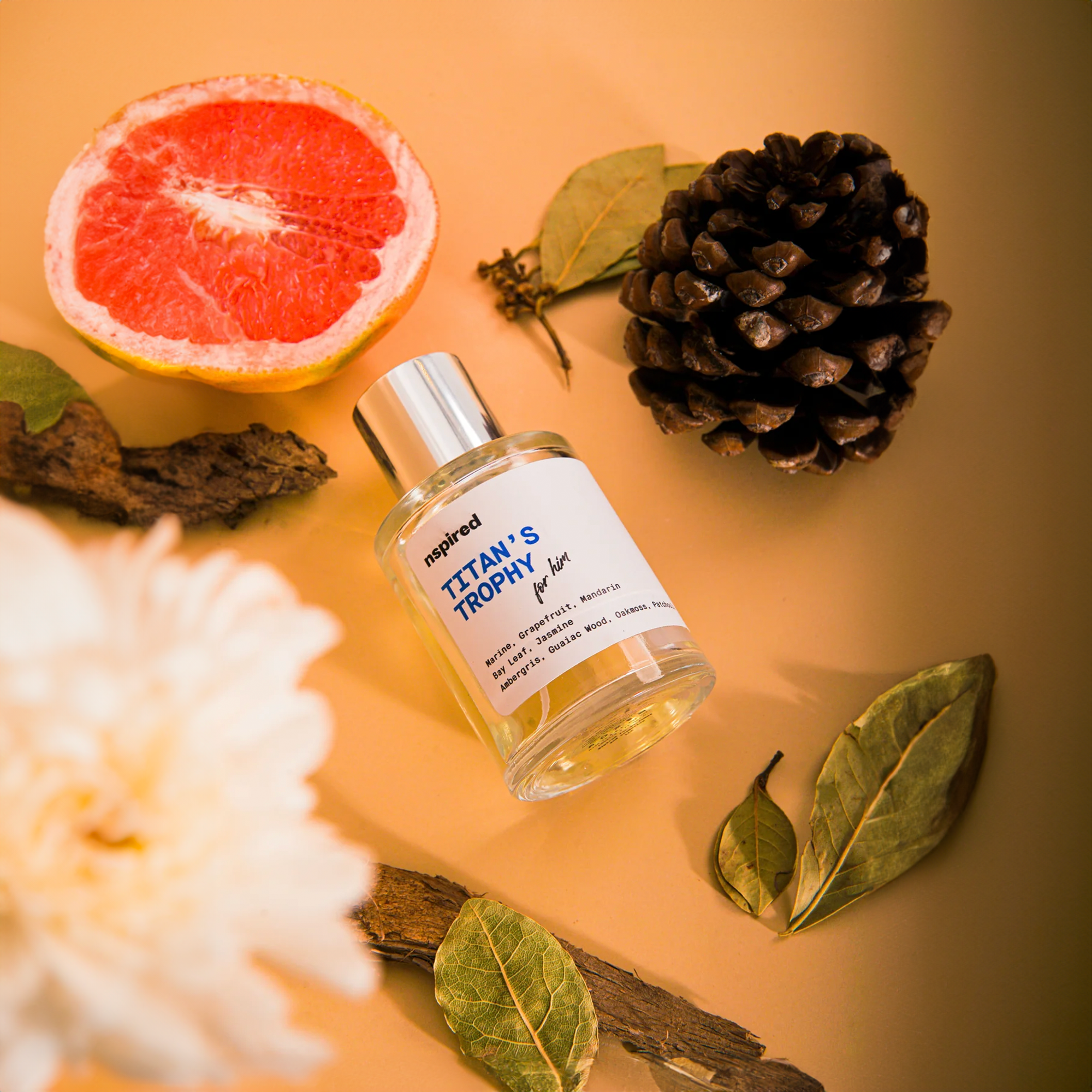 Titan's Trophy (Inspired by Paco Rabanne Invictus)