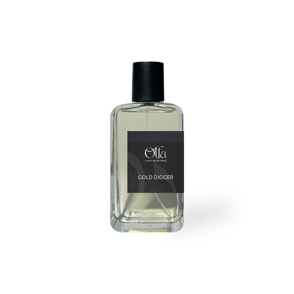 Gold Digger Perfume For Him – Olfa Fragrance