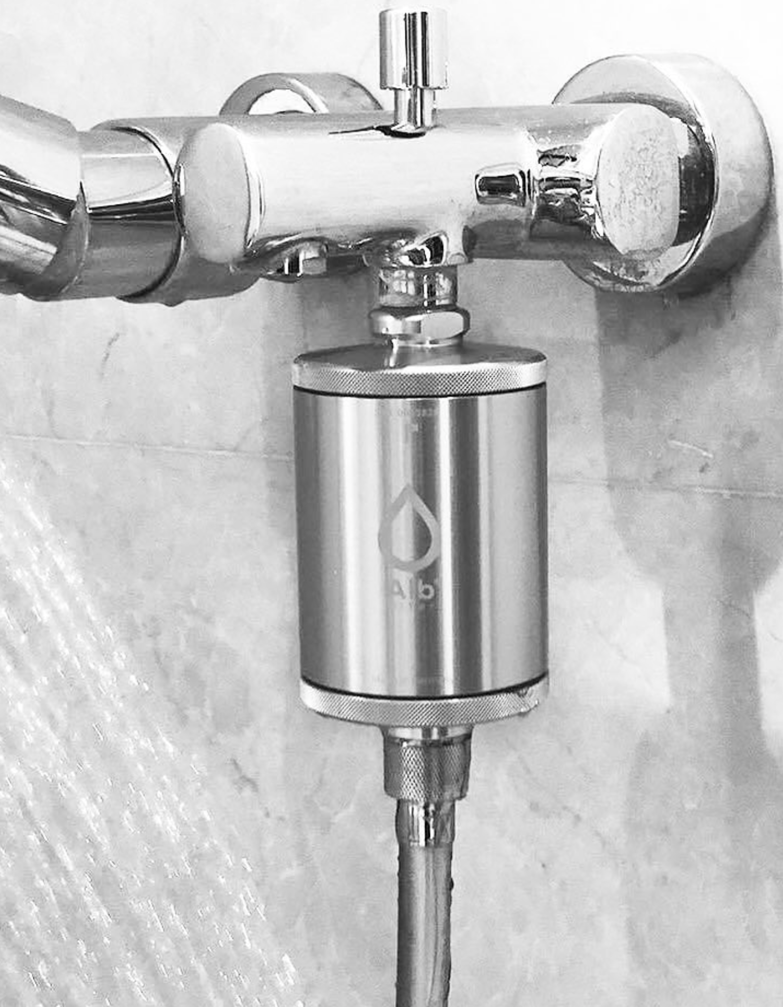 Silver Shower Filter