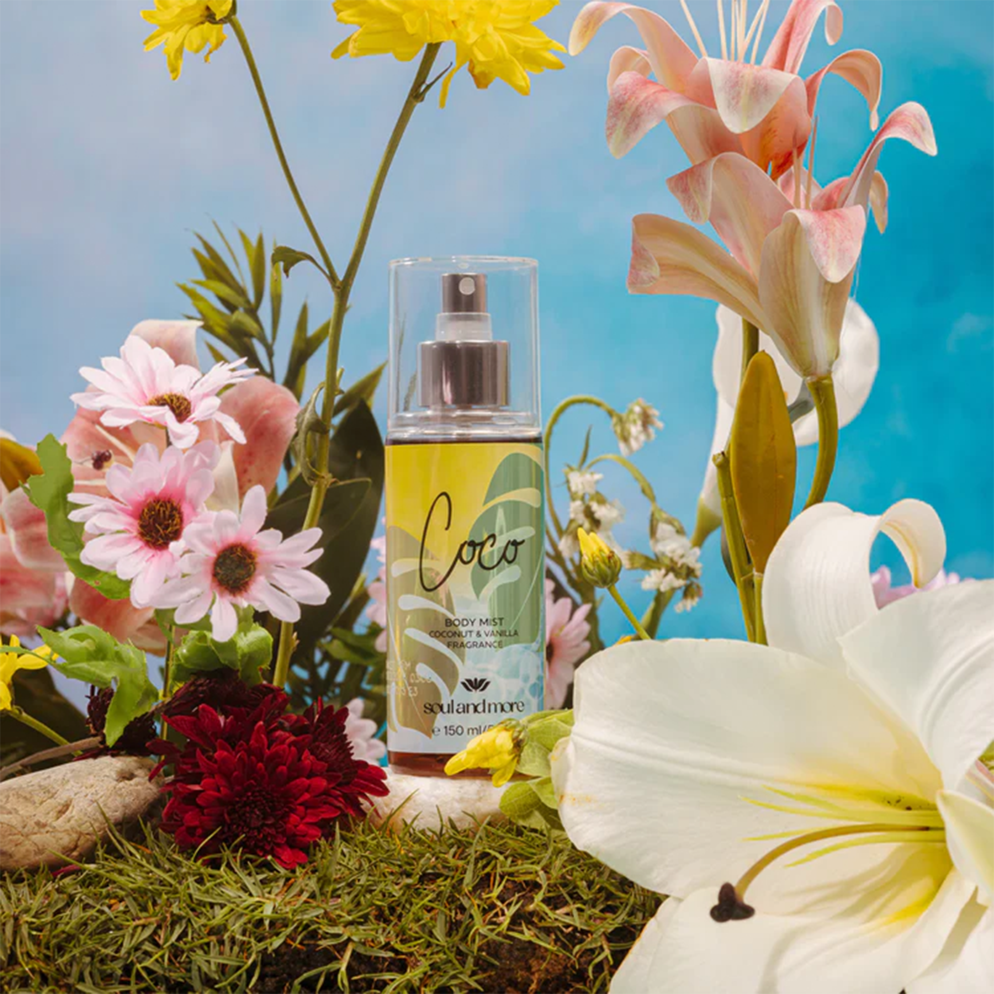 كوكو بادى سبلاش