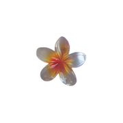Glossy Hawaiian Claw Clip