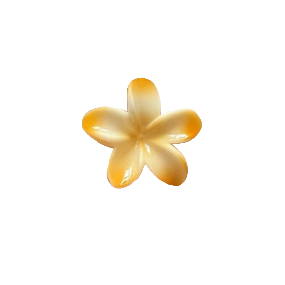 Hawaiian Claw Clips 2.0