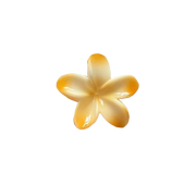 Hawaiian Claw Clips 2.0