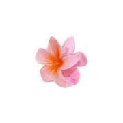 Mini Hawaiian Claw Clip