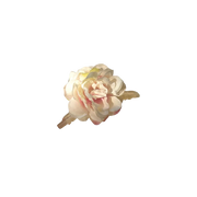 Rose Floral Claw Clip