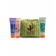 Travel Size Bundle