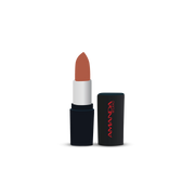 Moist Matte Lipstick