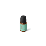 Source Beauty Peppermint Oil Sensera Aromatherapy Dandruff Hair Hair Concern Healing Treatments Oils Wellbeing